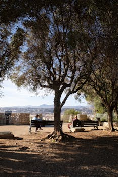 吉宏股份董事长庄浩：在手订单多于去年同期 海外市场布局提速