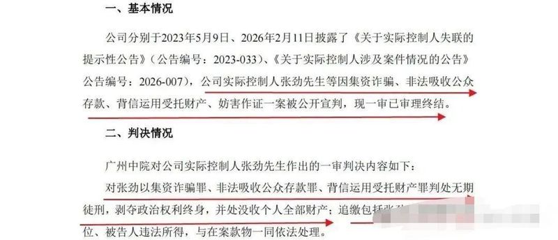 那个非法集资的集团老板，大结局了