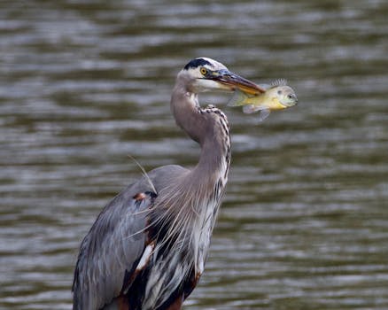  人工智能时代，中国如何占据先机；优势凸显，治理并重。 IT技术 人工智能时代，中国如何占据先机；优势凸显，治理并重。 IT技术