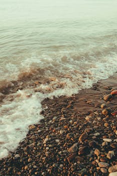  央视3·15曝光哈啰租电动车超速乱象；线下门店违规解限速；平台合规红线面临严峻考验 IT技术 央视3·15曝光哈啰租电动车超速乱象；线下门店违规解限速；平台合规红线面临严峻考验 IT技术