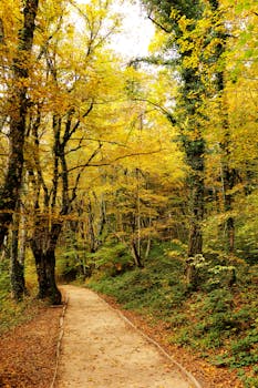  SBM Offshore获埃克森美孚圭亚那Longtail项目前端工程设计合同；Fast4Ward方案再获应用。 新闻 SBM Offshore获埃克森美孚圭亚那Longtail项目前端工程设计合同；Fast4Ward方案再获应用。 新闻