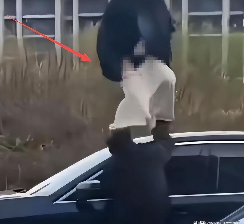  拒绝单纯的“路怒”叙事：当街斗殴并非偶然，而是被忽视的家庭悲剧 情感心理