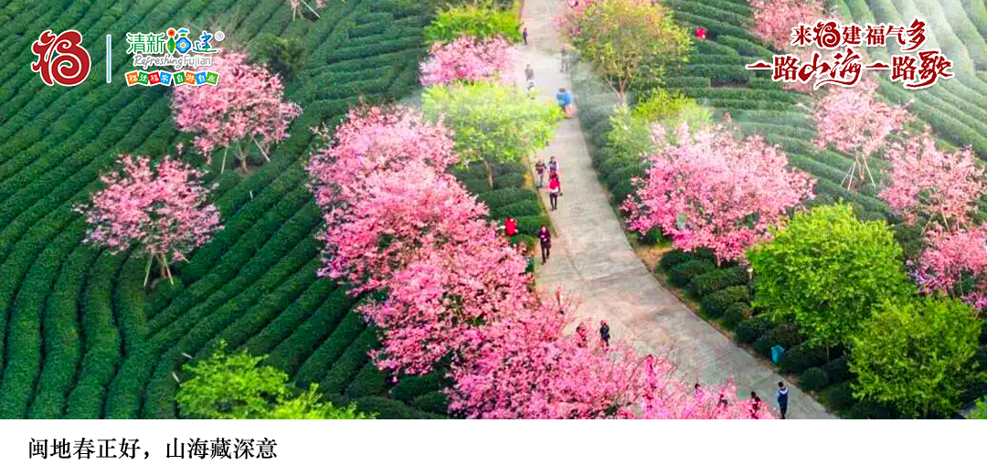  厌倦了城市快节奏？如何像当地人一样开启闽式慢生活？ 文化旅游