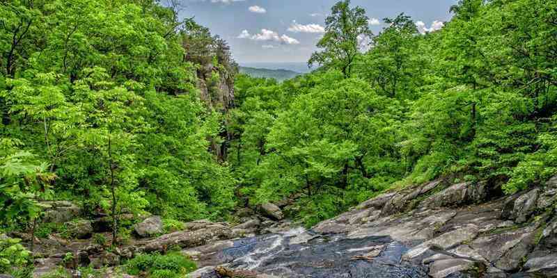  测试工程师的沉默契约：当质量保障沦为救火演习 IT技术 测试工程师的沉默契约：当质量保障沦为救火演习 IT技术