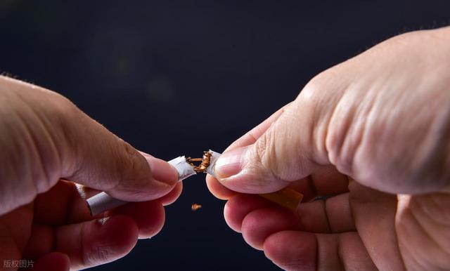  临床数据揭示：肺癌高危人群的四个分子级特征——从856例样本到精准预防 健康养生