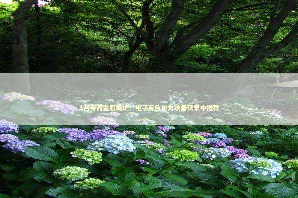 3月券商金股出炉：电子有色电力设备获集中推荐 新闻