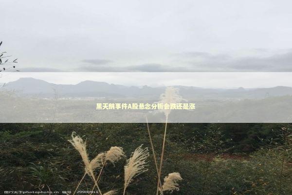 黑天鹅事件A股悬念分析会跌还是涨