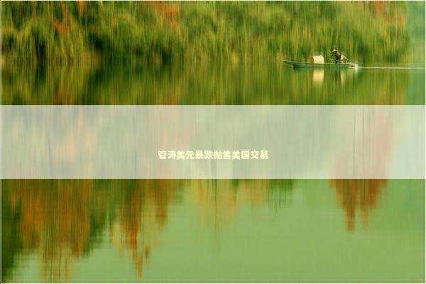 管涛美元暴跌抛售美国交易