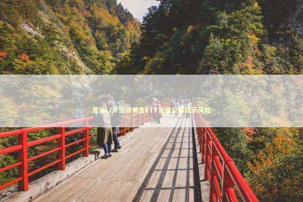 原油LOF涨停黄金ETF狂飙公募提示风险