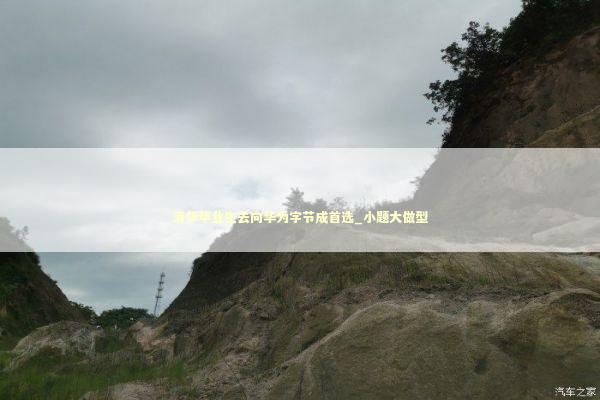 清华毕业生去向华为字节成首选_小题大做型 新闻