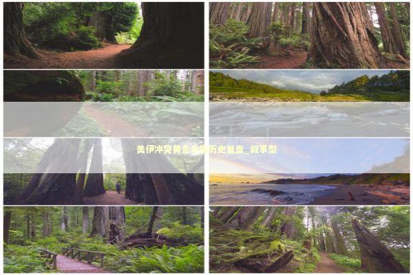 美伊冲突黄金走势历史复盘_叙事型