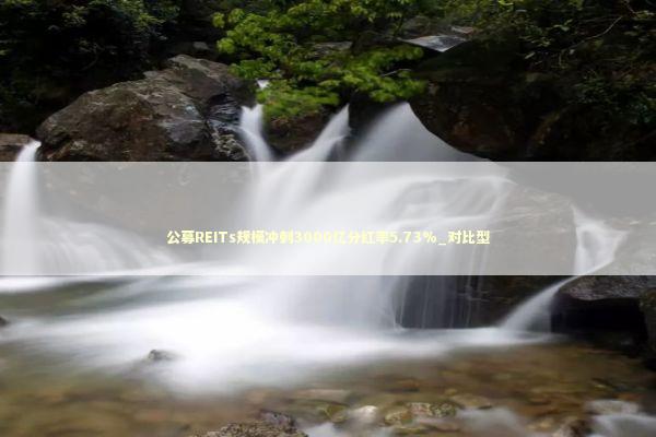 公募REITs规模冲刺3000亿分红率5.73%_对比型