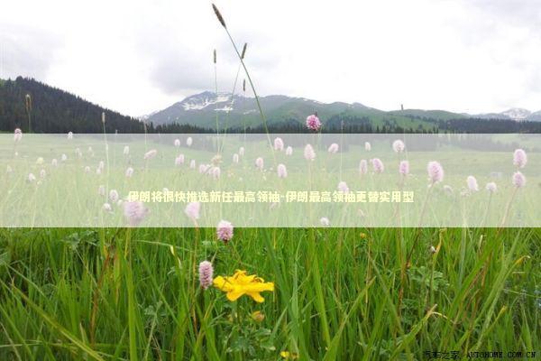 伊朗将很快推选新任最高领袖-伊朗最高领袖更替实用型