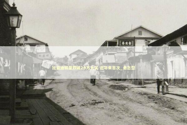 比亚迪销量跌破20万大关 近年来首次_悬念型