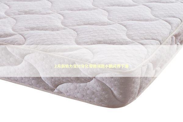 2月新势力交付分化零跑领跑小鹏问界下滑