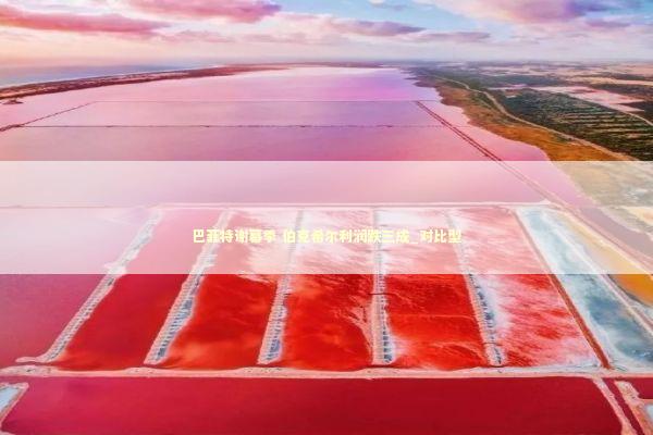 巴菲特谢幕季 伯克希尔利润跌三成_对比型