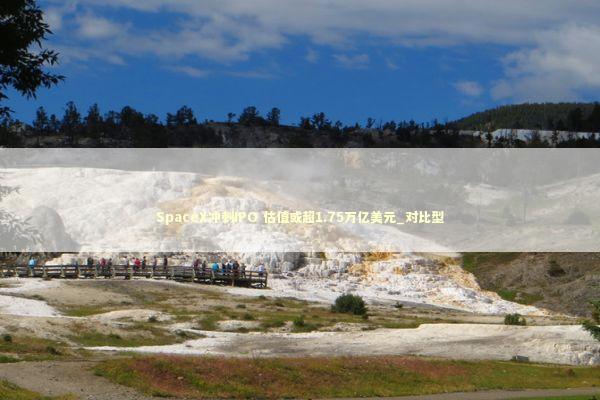 SpaceX冲刺IPO 估值或超1.75万亿美元_对比型