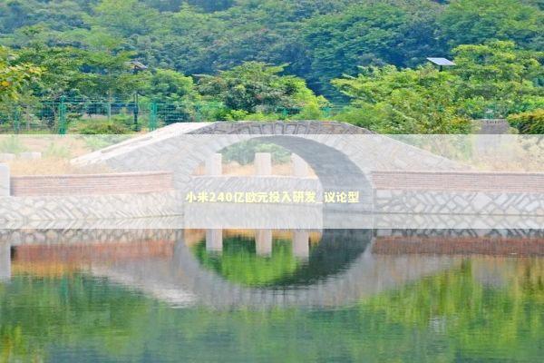 小米240亿欧元投入研发_议论型