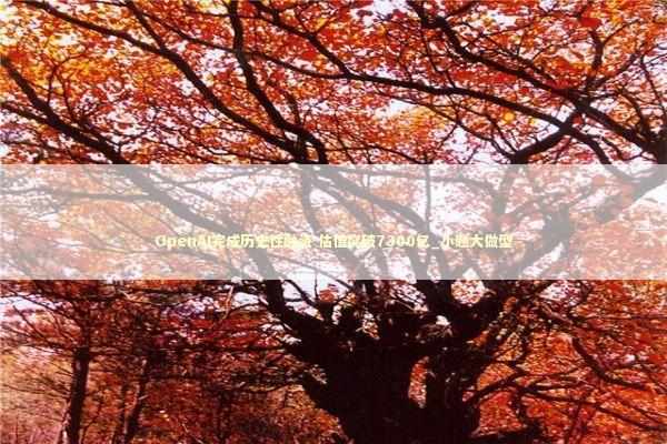 OpenAI完成历史性融资 估值突破7300亿_小题大做型