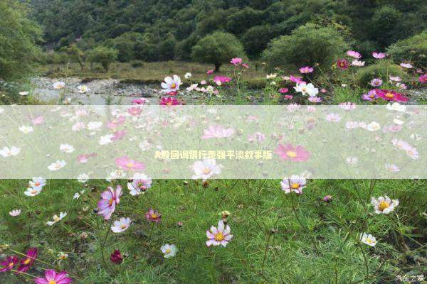 A股回调银行走强平淡叙事版