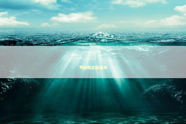 甲醇概念股涨停