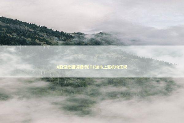 A股深度回调银行ETF逆市上涨机构乐观