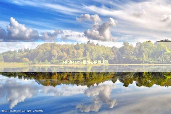 MiniMax年报核心数据速览