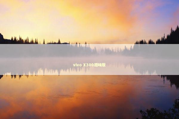 vivo X300趣味版