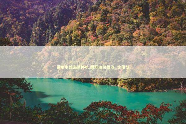 霍尔木兹海峡停航 国际油价飙涨_实用型