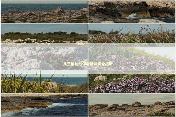 从三桶油涨停看能源安全战略