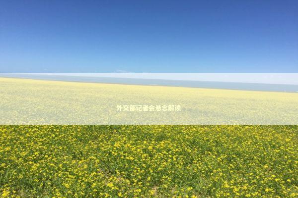 外交部记者会悬念解读