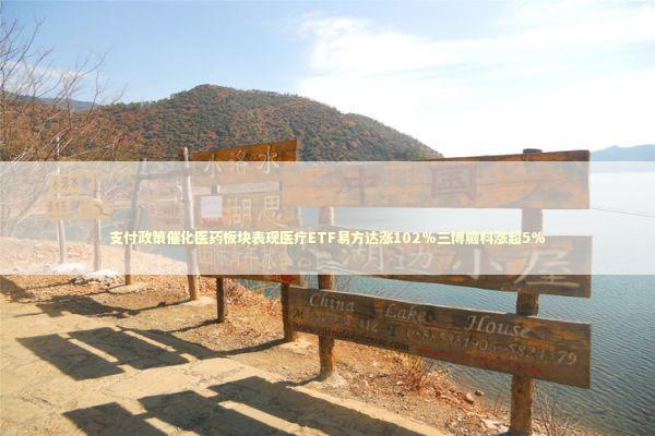 支付政策催化医药板块表现医疗ETF易方达涨102%三博脑科涨超5%