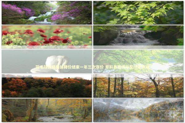 羽毛球价格集体降价结束一年三次涨价 原料暴跌传导至终端市场