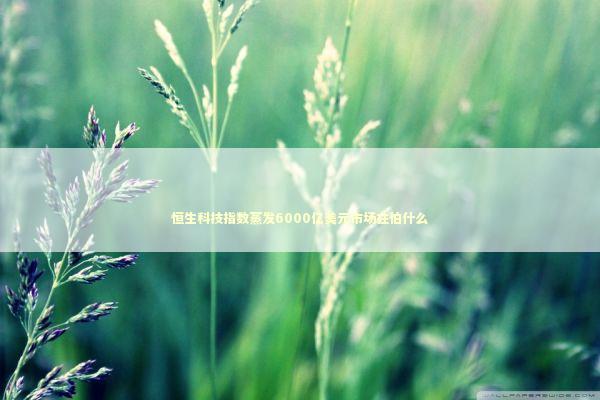 恒生科技指数蒸发6000亿美元市场在怕什么