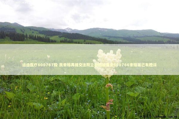 运盛医疗600767股 民索赔再提交法院立案园城黄金600766索赔案已有胜诉