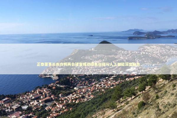 正泰董事长南存辉两会建言推动绿色低碳与人工智能深度融合