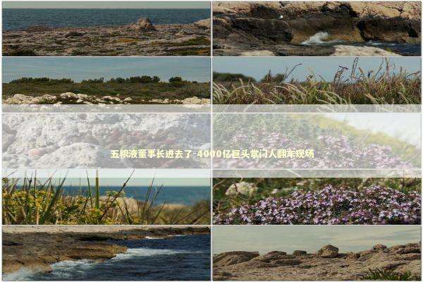 五粮液董事长进去了-4000亿巨头掌门人翻车现场