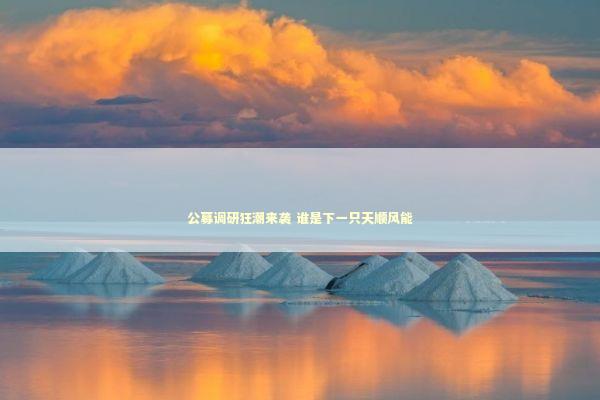 公募调研狂潮来袭 谁是下一只天顺风能