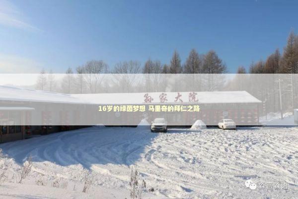 16岁的绿茵梦想 马里奇的拜仁之路