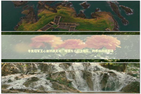 冬奥冠军王心迪转战足坛：加盟东北超沈阳队，跨界挑战绿茵场