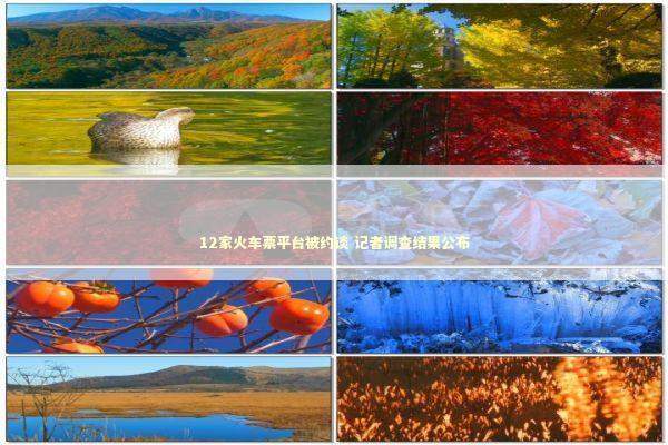 12家火车票平台被约谈 记者调查结果公布