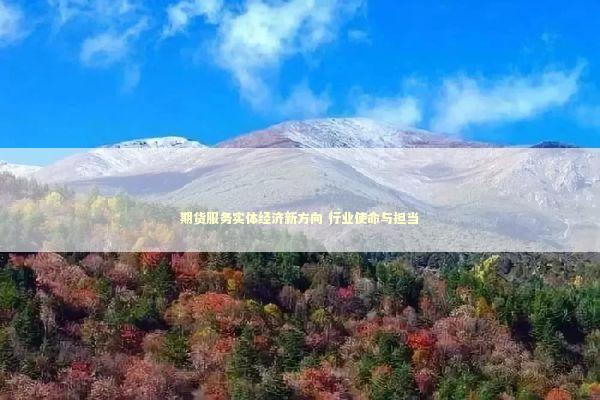 期货服务实体经济新方向 行业使命与担当