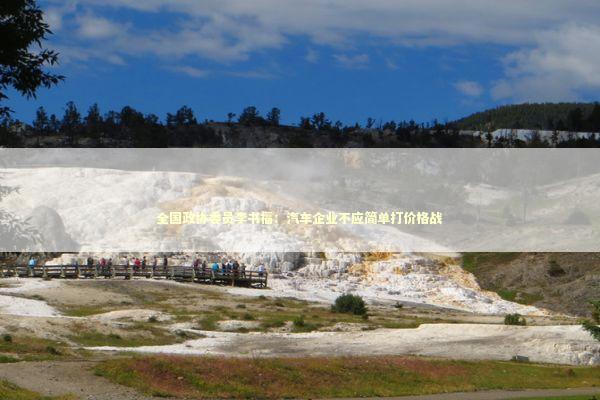 全国政协委员李书福：汽车企业不应简单打价格战