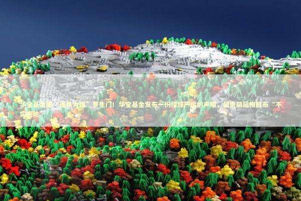 华宝基金陷“逼良为娼”罗生门！华宝基金发布一份措辞严厉的声明，谴责胡延梅散布“不实言论”