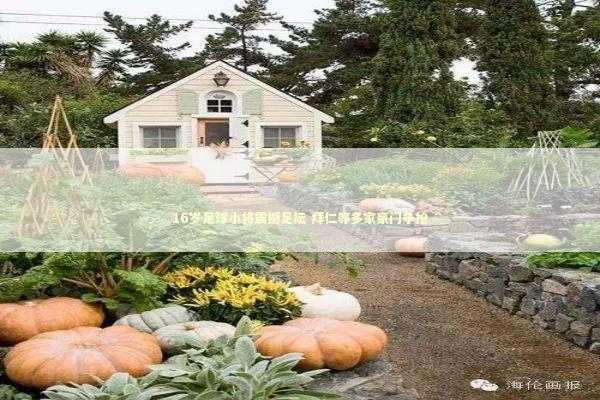 16岁足球小将震撼足坛 拜仁等多家豪门争抢