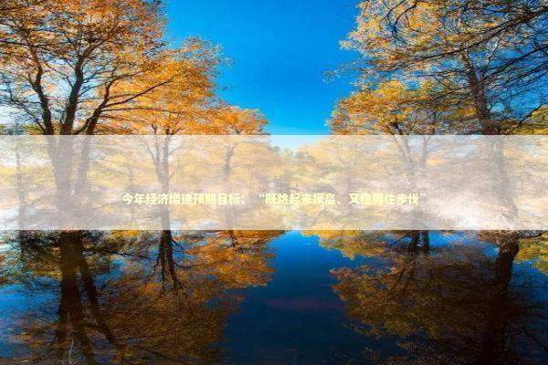 今年经济增速预期目标：“既跳起来摸高、又稳得住步伐”