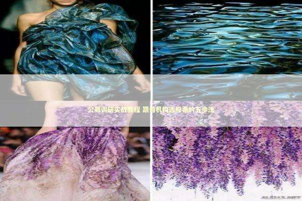 公募调研实战教程 跟着机构选股票的五步法