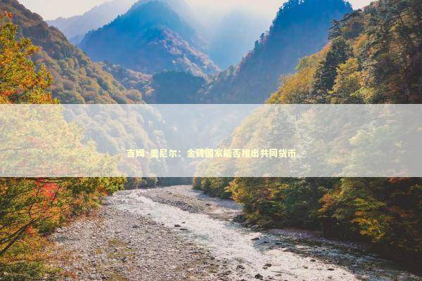 吉姆·奥尼尔：金砖国家能否推出共同货币