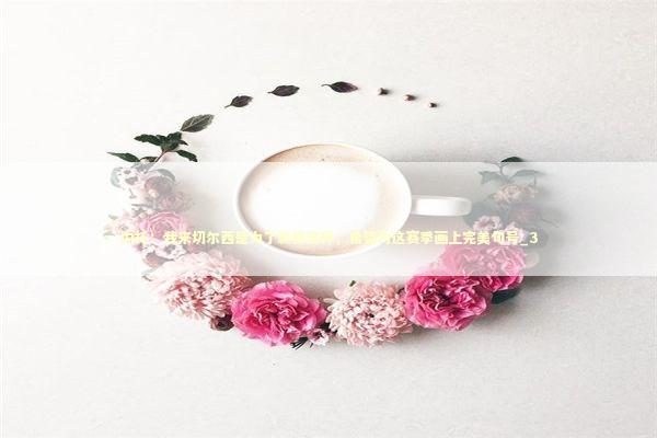 内托：我来切尔西是为了赢得奖杯，希望为这赛季画上完美句号_3