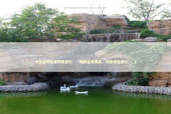 今年经济增速预期目标：“既跳起来摸高、又稳得住步伐”_1